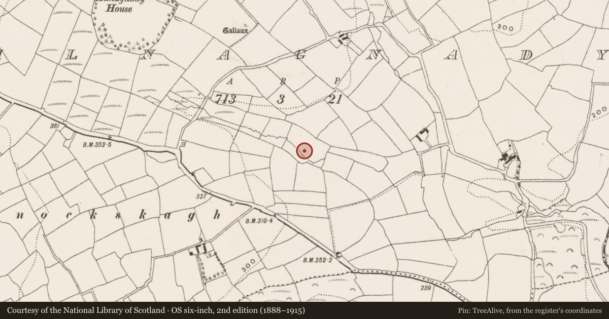 Ordnance Survey six-inch map, 2nd edition (1888–1915) covering the location of Fulacht fia, Kilnagnady, County Cork, with a pin at the register's coordinates