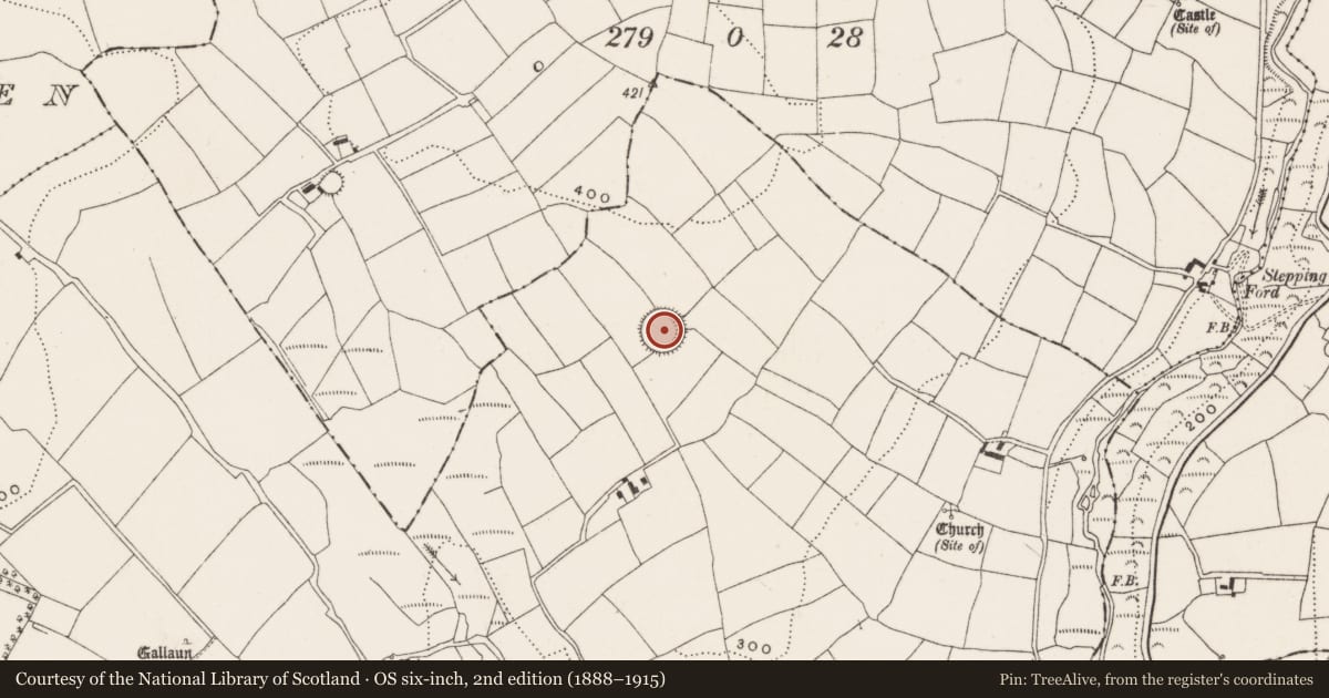 Ordnance Survey six-inch map, 2nd edition (1888–1915) covering the location of Ringfort - rath, Kilnagnady, County Cork, with a pin at the register's coordinates