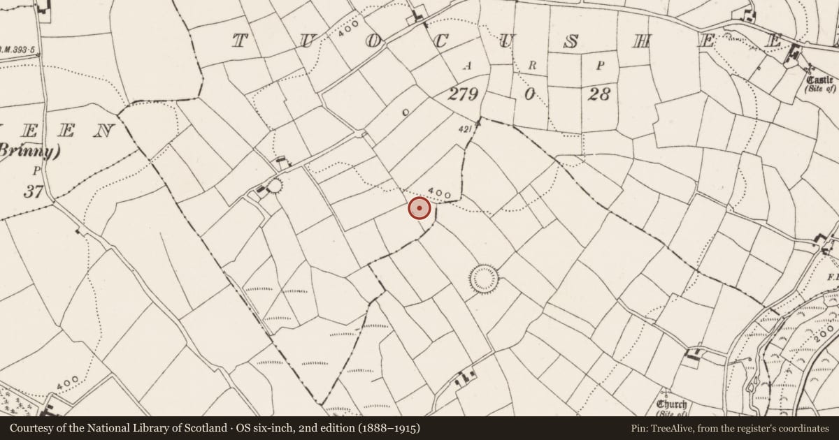 Ordnance Survey six-inch map, 2nd edition (1888–1915) covering the location of Ringfort - rath, Tuocusheen, County Cork, with a pin at the register's coordinates