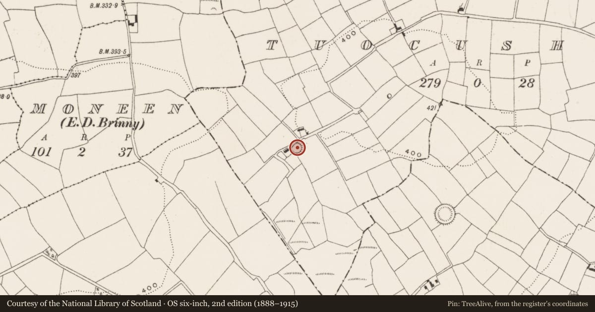 Ordnance Survey six-inch map, 2nd edition (1888–1915) covering the location of Ringfort - rath, Tuocusheen, County Cork, with a pin at the register's coordinates