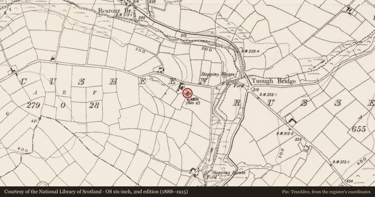 Ordnance Survey six-inch map, 2nd edition (1888–1915) covering the location of Castle - unclassified, Tuocusheen, County Cork, with a pin at the register's coordinates