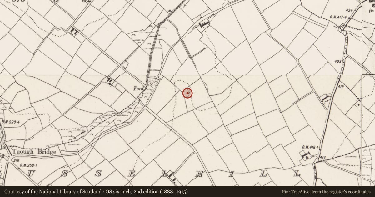 Ordnance Survey six-inch map, 2nd edition (1888–1915) covering the location of Ringfort - rath, Russelhill, County Cork, with a pin at the register's coordinates