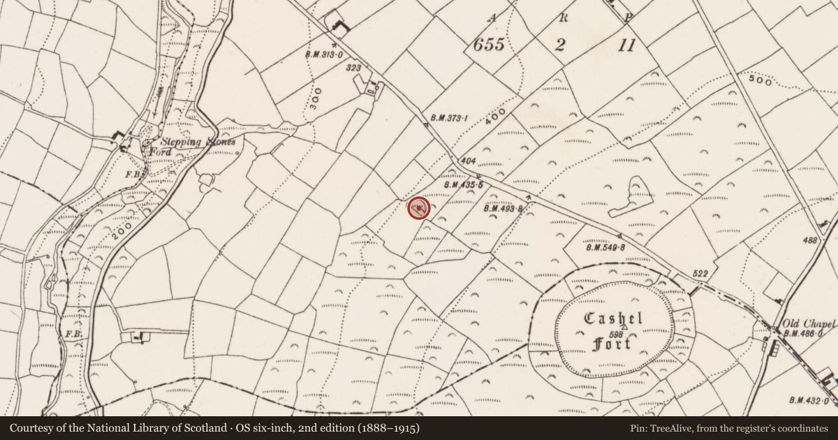 Ordnance Survey six-inch map, 2nd edition (1888–1915) covering the location of Ringfort - rath, Russelhill, County Cork, with a pin at the register's coordinates