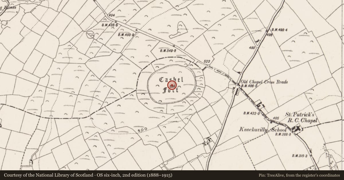Ordnance Survey six-inch map, 2nd edition (1888–1915) covering the location of Hillfort, Clashanimud, County Cork, with a pin at the register's coordinates