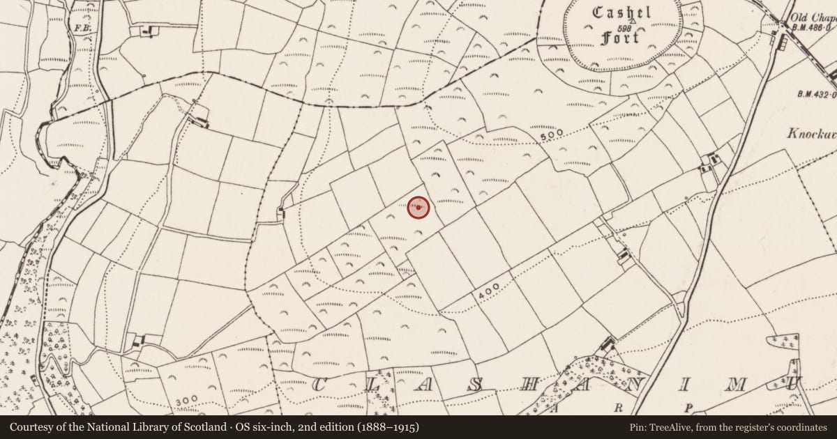 Ordnance Survey six-inch map, 2nd edition (1888–1915) covering the location of Ringfort - rath, Clashanimud, County Cork, with a pin at the register's coordinates