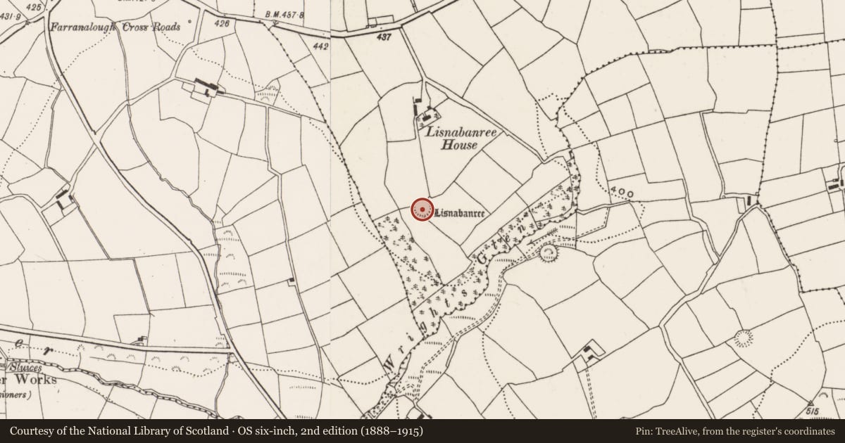 Ordnance Survey six-inch map, 2nd edition (1888–1915) covering the location of Ringfort - rath, Lisnabanree, County Cork, with a pin at the register's coordinates