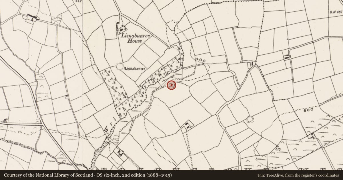 Ordnance Survey six-inch map, 2nd edition (1888–1915) covering the location of Ringfort - rath, Roughgrove West, County Cork, with a pin at the register's coordinates