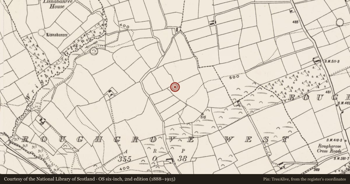 Ordnance Survey six-inch map, 2nd edition (1888–1915) covering the location of Ringfort - rath, Roughgrove West, County Cork, with a pin at the register's coordinates