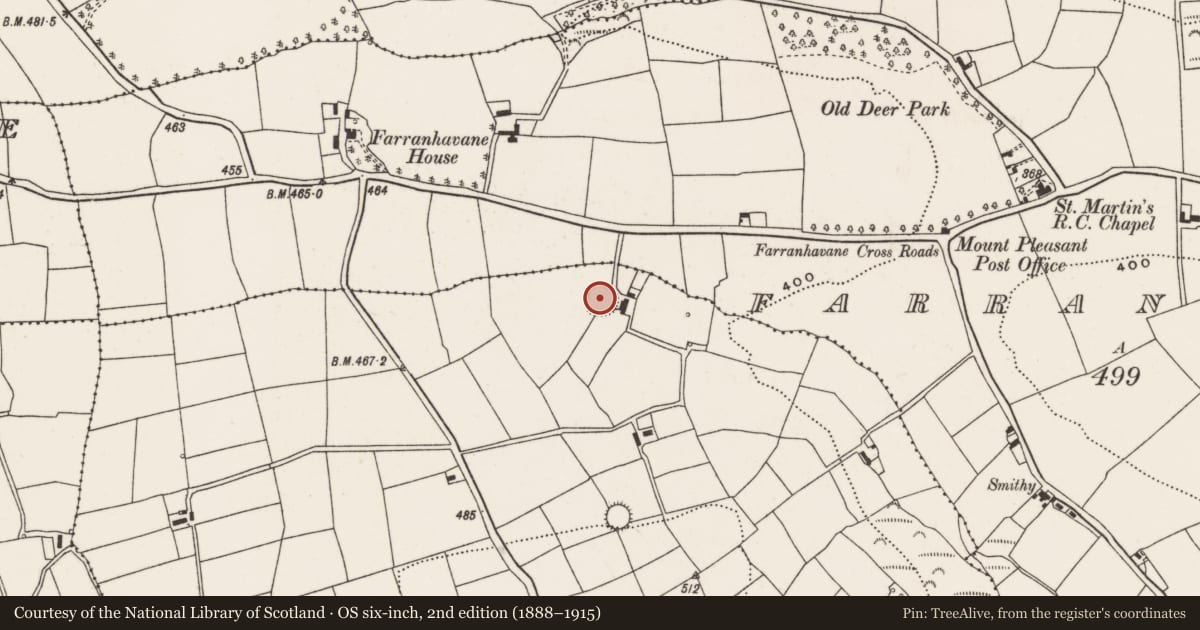 Ordnance Survey six-inch map, 2nd edition (1888–1915) covering the location of Ringfort - rath, Roughgrove East, County Cork, with a pin at the register's coordinates