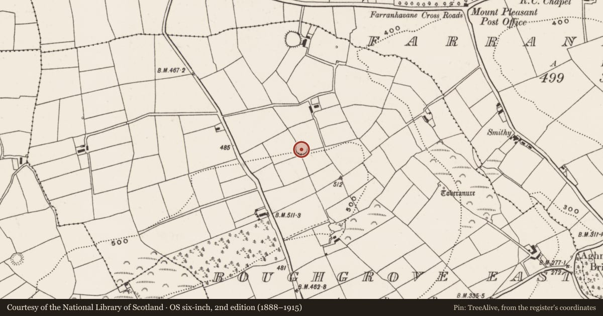 Ordnance Survey six-inch map, 2nd edition (1888–1915) covering the location of Ringfort - rath, Roughgrove East, County Cork, with a pin at the register's coordinates