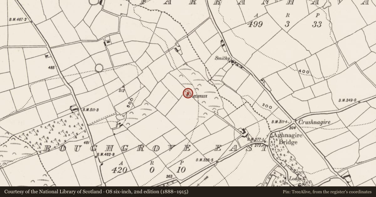 Ordnance Survey six-inch map, 2nd edition (1888–1915) covering the location of Ritual site - holy well, Roughgrove East, County Cork, with a pin at the register's coordinates