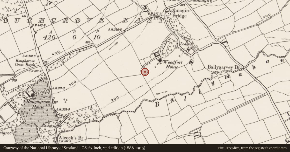 Ordnance Survey six-inch map, 2nd edition (1888–1915) covering the location of Ringfort - rath, Roughgrove East, County Cork, with a pin at the register's coordinates