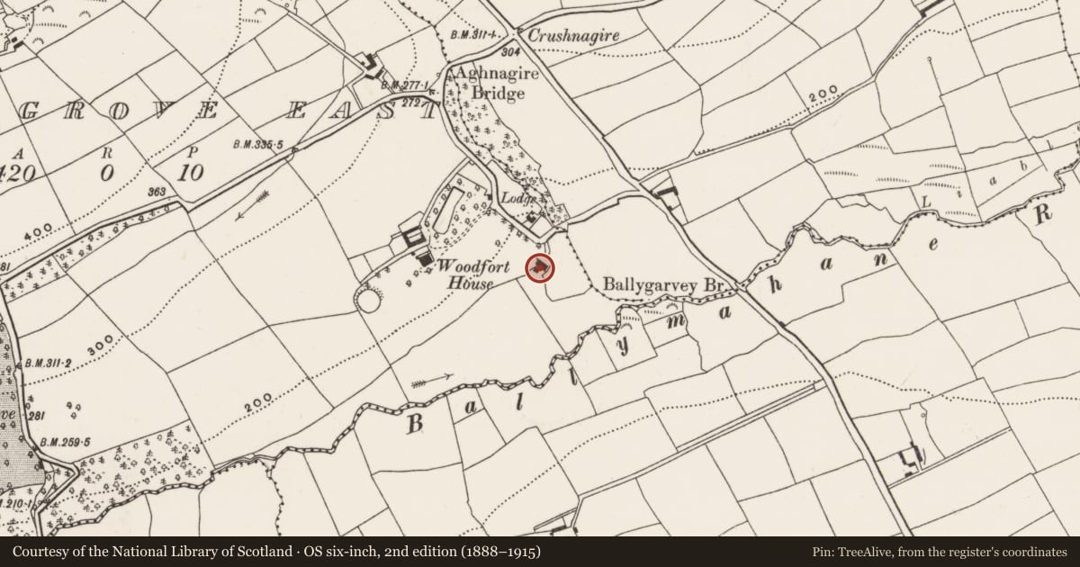 Ordnance Survey six-inch map, 2nd edition (1888–1915) covering the location of Mill - carding, Roughgrove East, County Cork, with a pin at the register's coordinates