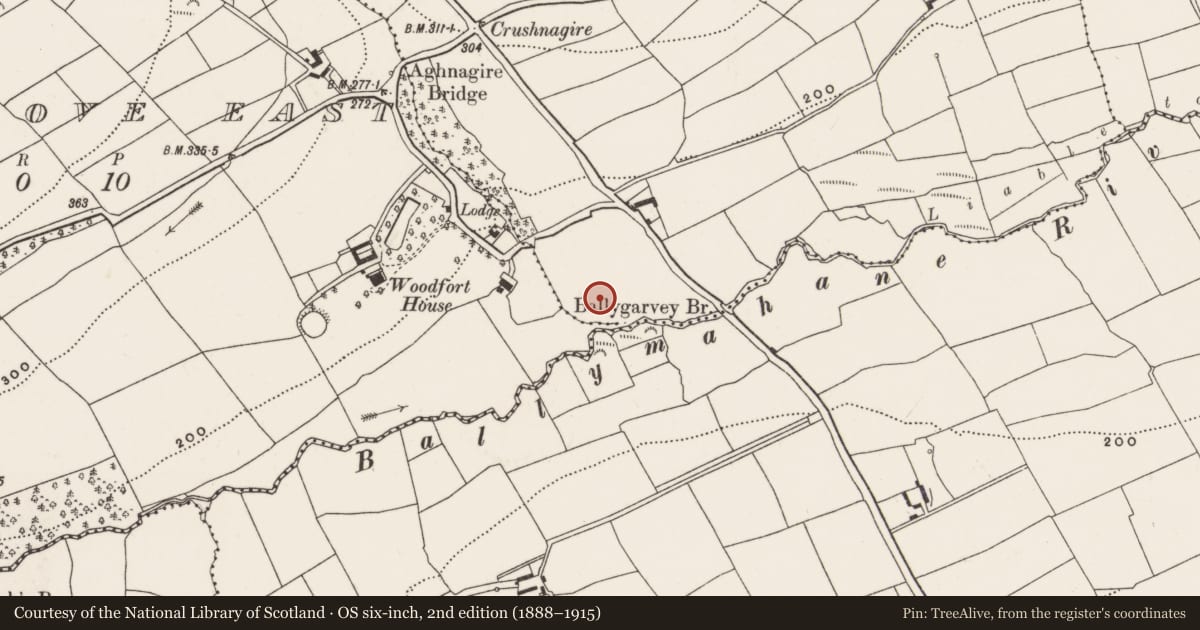 Ordnance Survey six-inch map, 2nd edition (1888–1915) covering the location of Fulacht fia, Farranhavane, County Cork, with a pin at the register's coordinates