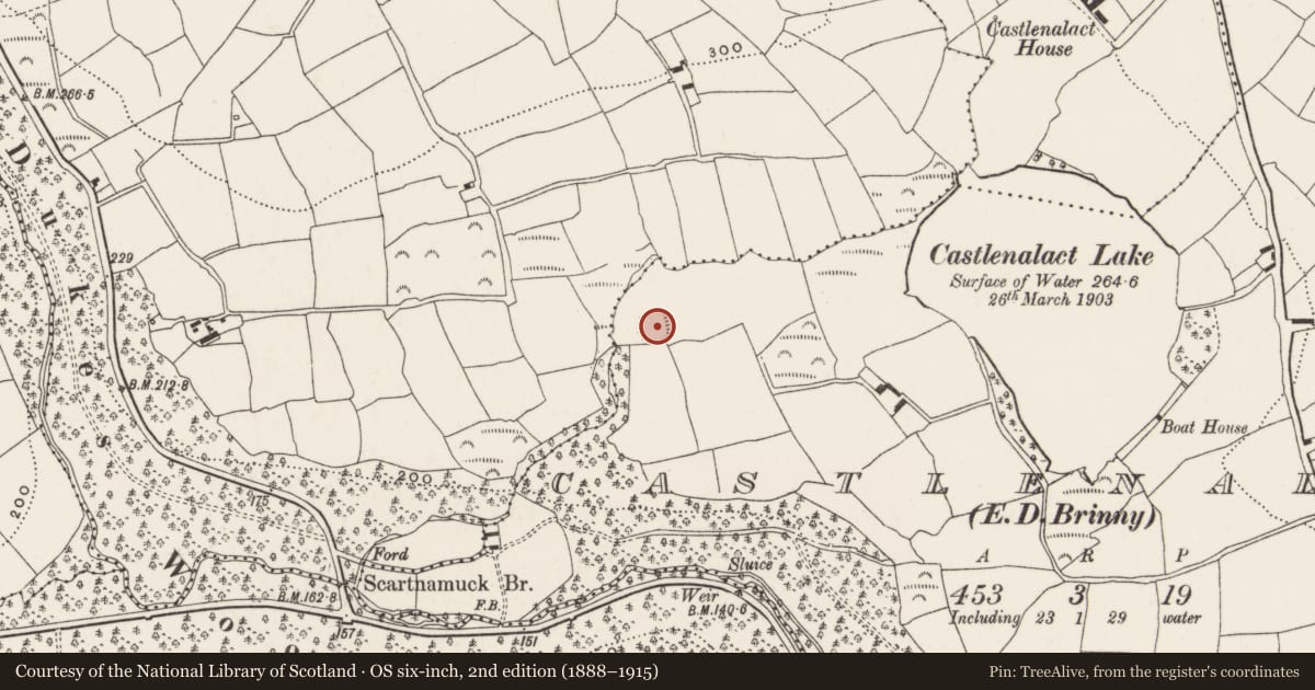 Ordnance Survey six-inch map, 2nd edition (1888–1915) covering the location of Ringfort - rath, Castlenalact (Kinalmeaky By., Brinny Par.), County Cork, with a pin at the register's coordinates