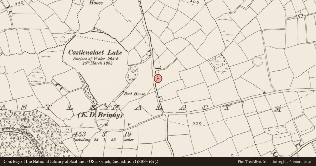 Ordnance Survey six-inch map, 2nd edition (1888–1915) covering the location of Ritual site - holy well, Castlenalact (Kinalmeaky By., Brinny Par.), County Cork, with a pin at the register's coordinates