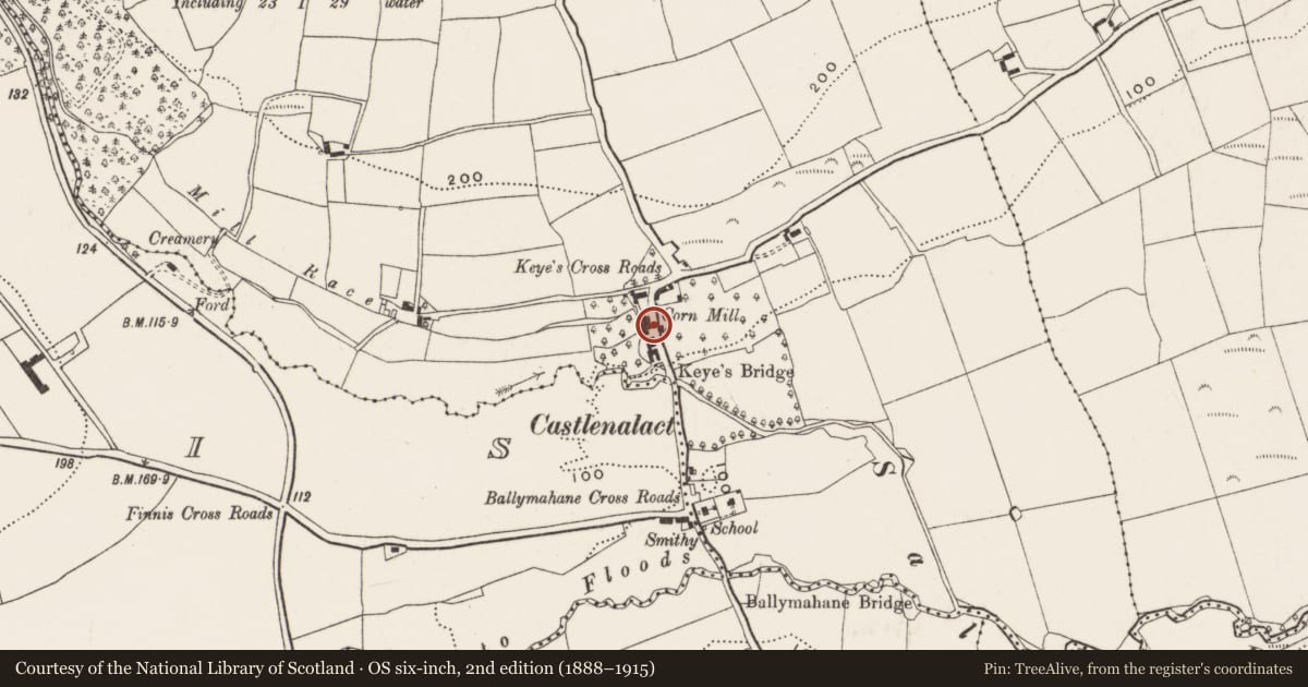 Ordnance Survey six-inch map, 2nd edition (1888–1915) covering the location of Milling complex, Castlenalact (Kinalmeaky By., Brinny Par.), County Cork, with a pin at the register's coordinates