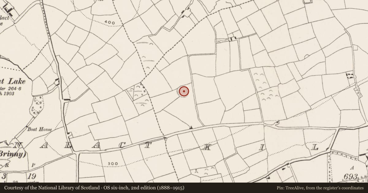 Ordnance Survey six-inch map, 2nd edition (1888–1915) covering the location of Ringfort - rath, Kilmore, County Cork, with a pin at the register's coordinates