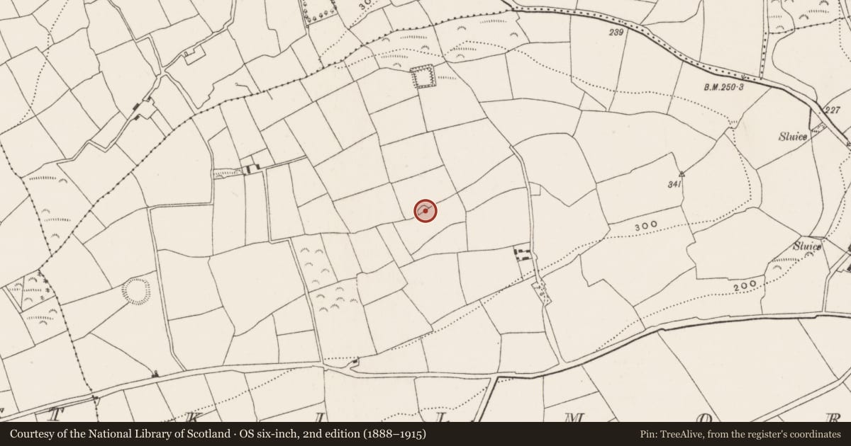 Ordnance Survey six-inch map, 2nd edition (1888–1915) covering the location of Ringfort - rath, Kilmore, County Cork, with a pin at the register's coordinates
