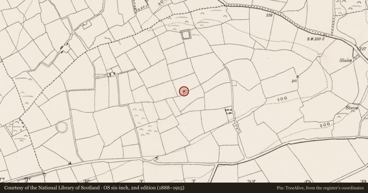 Ordnance Survey six-inch map, 2nd edition (1888–1915) covering the location of Church, Kilmore, County Cork, with a pin at the register's coordinates