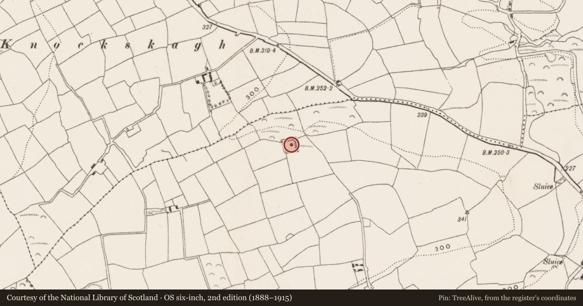 Ordnance Survey six-inch map, 2nd edition (1888–1915) covering the location of Moated site, Kilmore, County Cork, with a pin at the register's coordinates