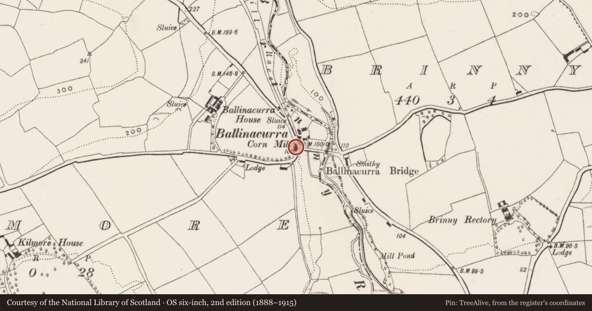 Ordnance Survey six-inch map, 2nd edition (1888–1915) covering the location of Mill - corn, Kilmore, County Cork, with a pin at the register's coordinates