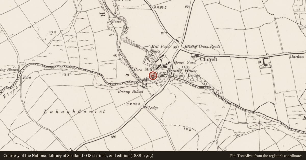 Ordnance Survey six-inch map, 2nd edition (1888–1915) covering the location of Inscribed stone, Brinny, County Cork, with a pin at the register's coordinates