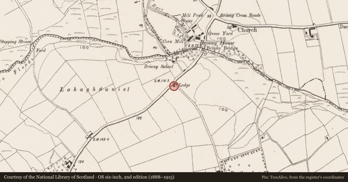 Ordnance Survey six-inch map, 2nd edition (1888–1915) covering the location of Ringfort - rath, Kilpatrick, County Cork, with a pin at the register's coordinates