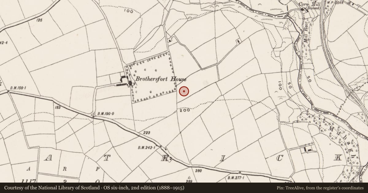 Ordnance Survey six-inch map, 2nd edition (1888–1915) covering the location of Ringfort - rath, Kilpatrick, County Cork, with a pin at the register's coordinates