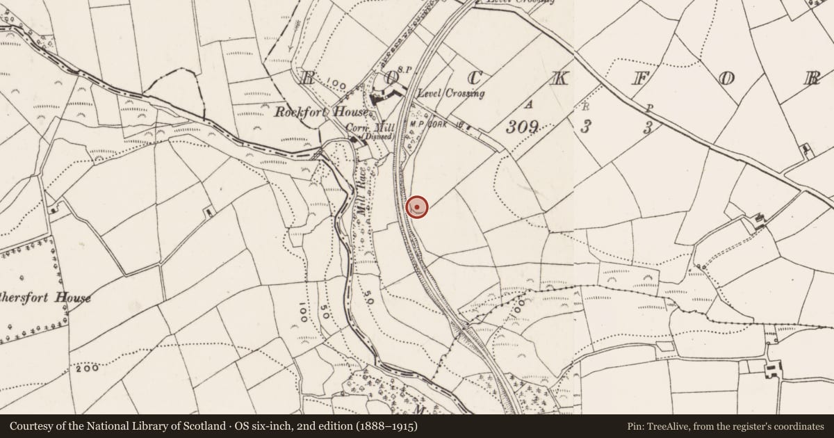 Ordnance Survey six-inch map, 2nd edition (1888–1915) covering the location of Ringfort - rath, Rockfort, County Cork, with a pin at the register's coordinates