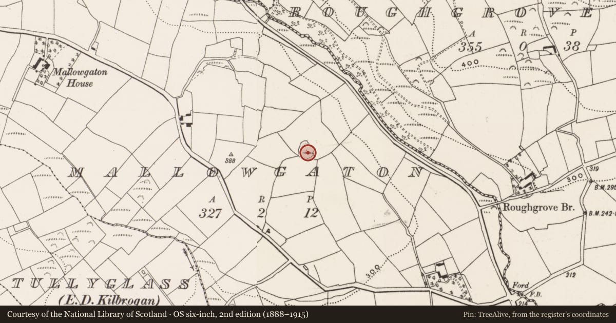 Ordnance Survey six-inch map, 2nd edition (1888–1915) covering the location of Souterrain, Mallowgaton, County Cork, with a pin at the register's coordinates
