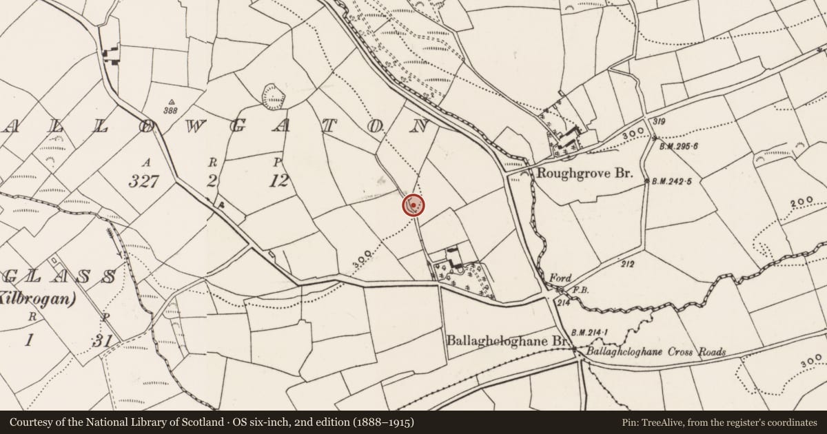 Ordnance Survey six-inch map, 2nd edition (1888–1915) covering the location of Ringfort - rath, Mallowgaton, County Cork, with a pin at the register's coordinates