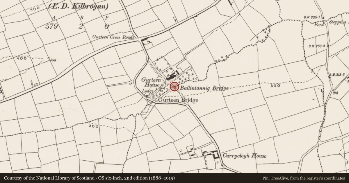 Ordnance Survey six-inch map, 2nd edition (1888–1915) covering the location of Bridge, Gurteen (Kinalmeaky By., Kilbrogan Par.), County Cork, with a pin at the register's coordinates