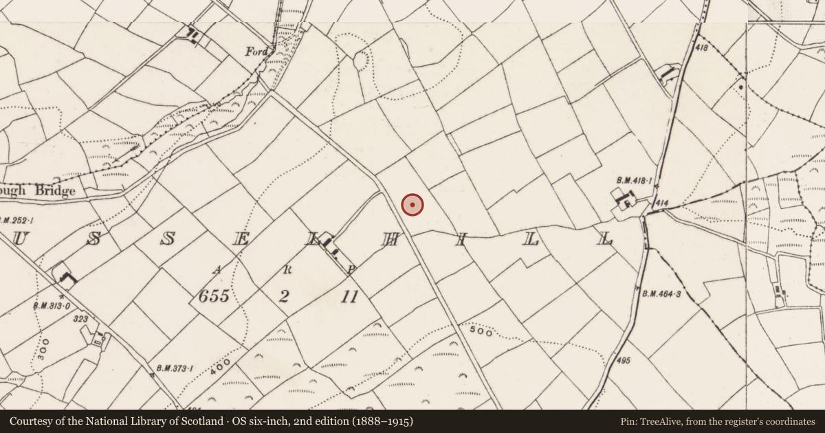 Ordnance Survey six-inch map, 2nd edition (1888–1915) covering the location of Standing stone, Russelhill, County Cork, with a pin at the register's coordinates
