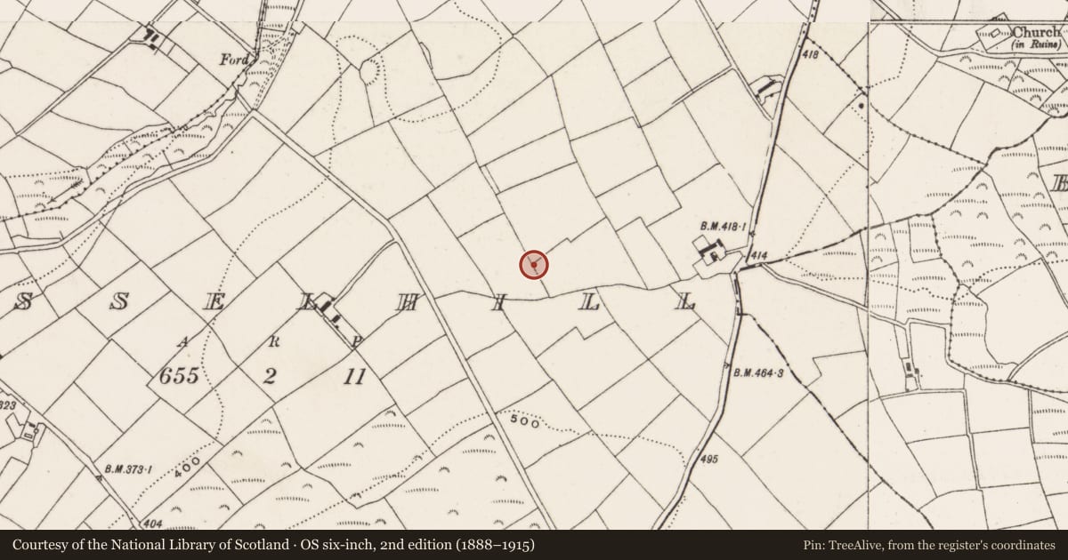 Ordnance Survey six-inch map, 2nd edition (1888–1915) covering the location of Boulder-burial, Russelhill, County Cork, with a pin at the register's coordinates