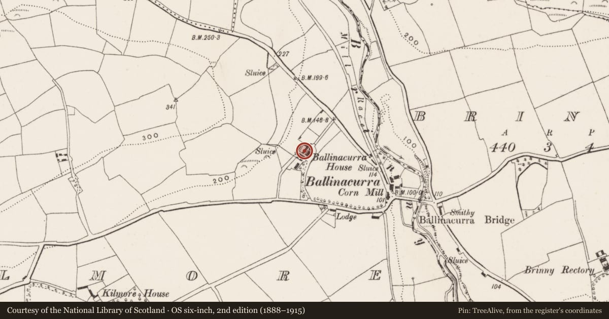 Ordnance Survey six-inch map, 2nd edition (1888–1915) covering the location of Country house, Kilmore, County Cork, with a pin at the register's coordinates