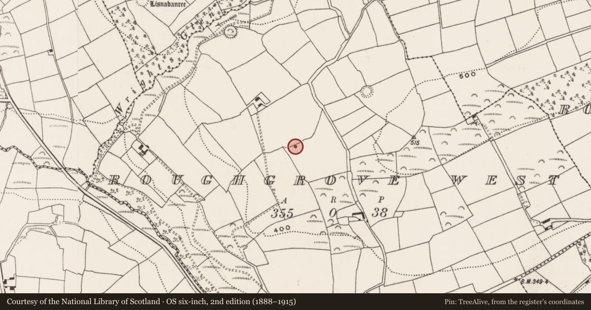 Ordnance Survey six-inch map, 2nd edition (1888–1915) covering the location of Fulacht fia, Roughgrove West, County Cork, with a pin at the register's coordinates