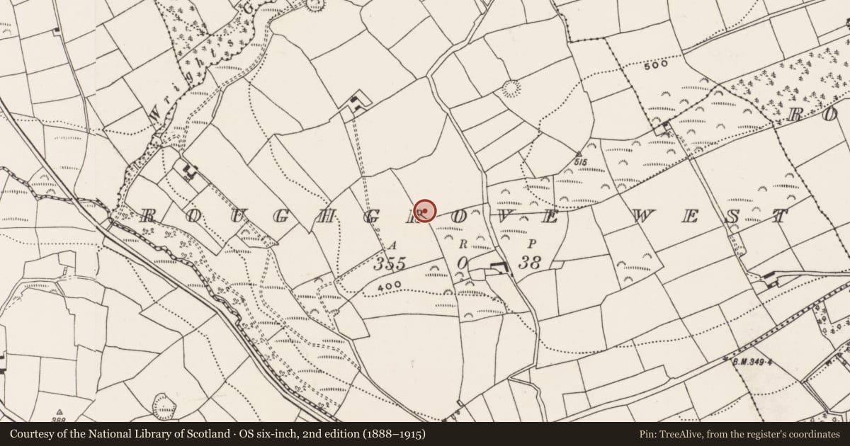 Ordnance Survey six-inch map, 2nd edition (1888–1915) covering the location of Fulacht fia, Roughgrove West, County Cork, with a pin at the register's coordinates