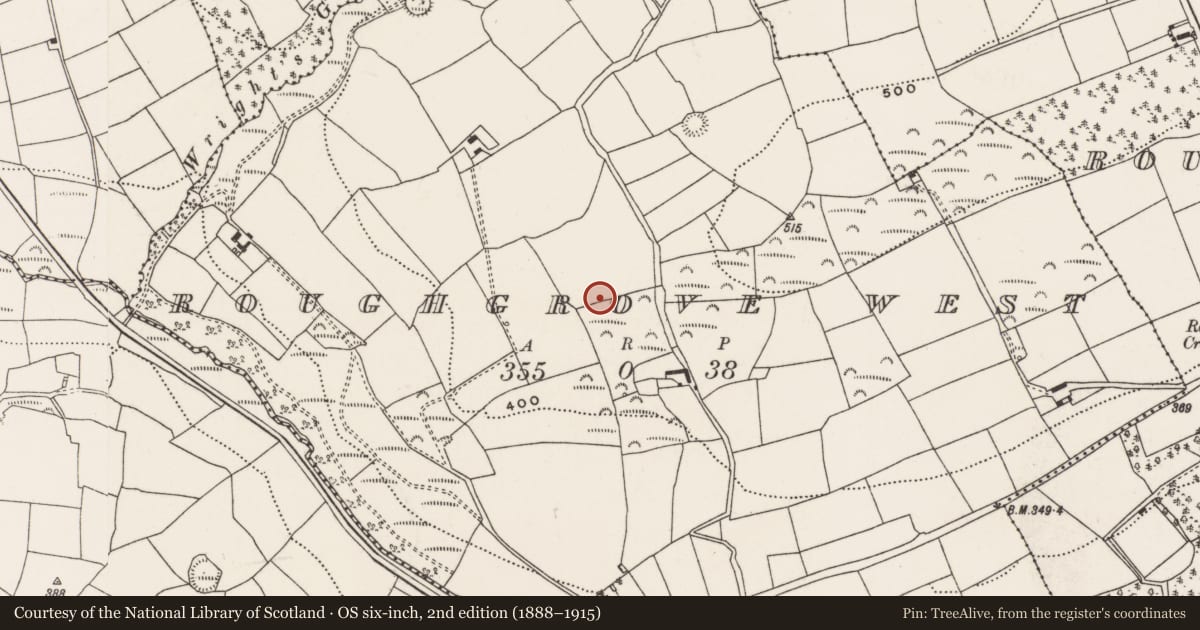 Ordnance Survey six-inch map, 2nd edition (1888–1915) covering the location of Souterrain, Roughgrove West, County Cork, with a pin at the register's coordinates