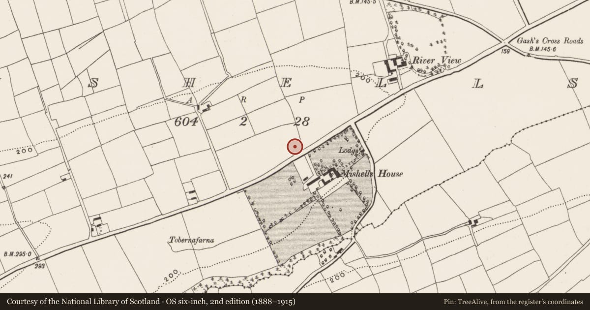 Ordnance Survey six-inch map, 2nd edition (1888–1915) covering the location of Burial ground, Mishells, County Cork, with a pin at the register's coordinates