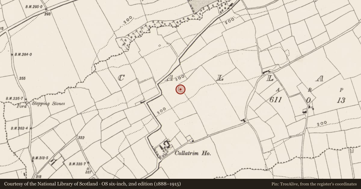 Ordnance Survey six-inch map, 2nd edition (1888–1915) covering the location of Ringfort - rath, Callatrim, County Cork, with a pin at the register's coordinates