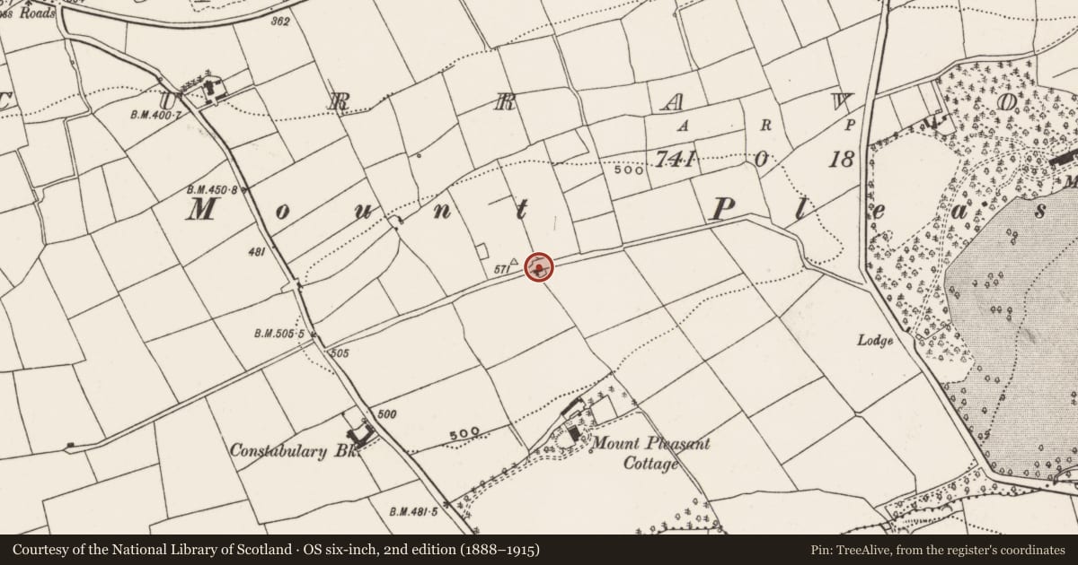 Ordnance Survey six-inch map, 2nd edition (1888–1915) covering the location of Souterrain, Curravordy, County Cork, with a pin at the register's coordinates