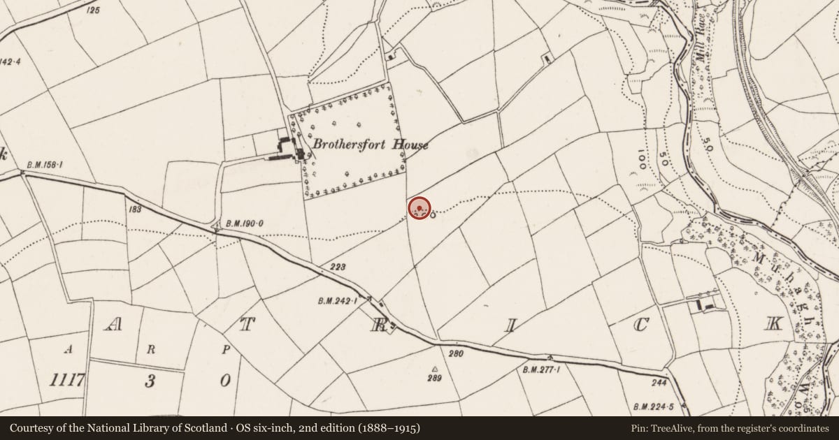 Ordnance Survey six-inch map, 2nd edition (1888–1915) covering the location of Burial ground, Kilpatrick, County Cork, with a pin at the register's coordinates