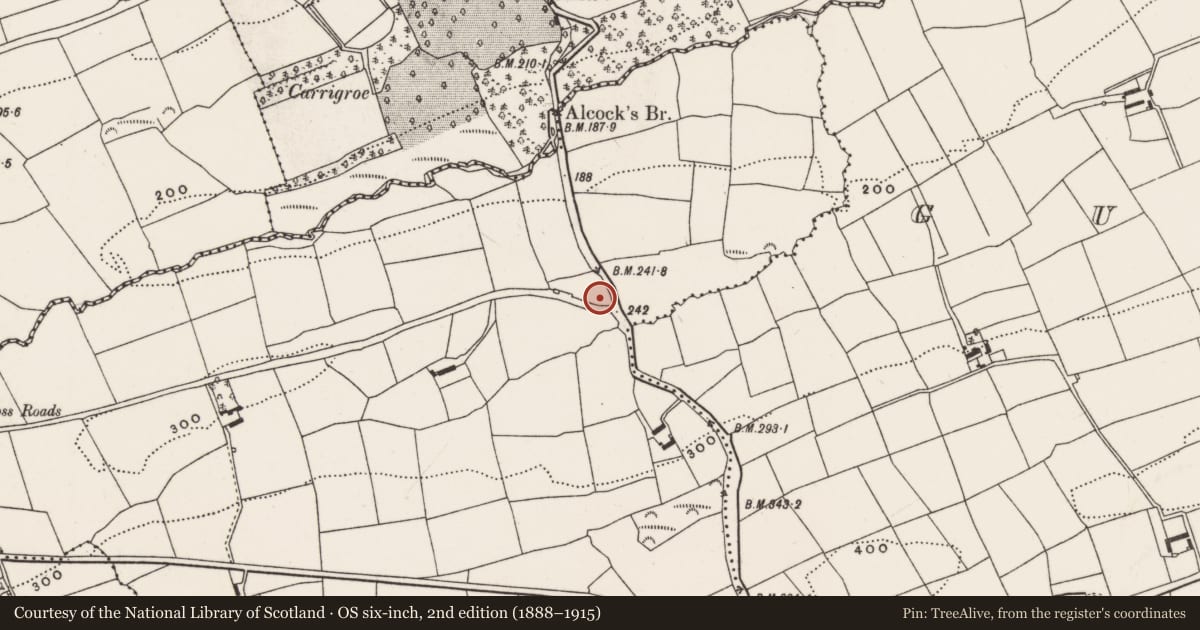 Ordnance Survey six-inch map, 2nd edition (1888–1915) covering the location of Burial ground, Laragh, County Cork, with a pin at the register's coordinates