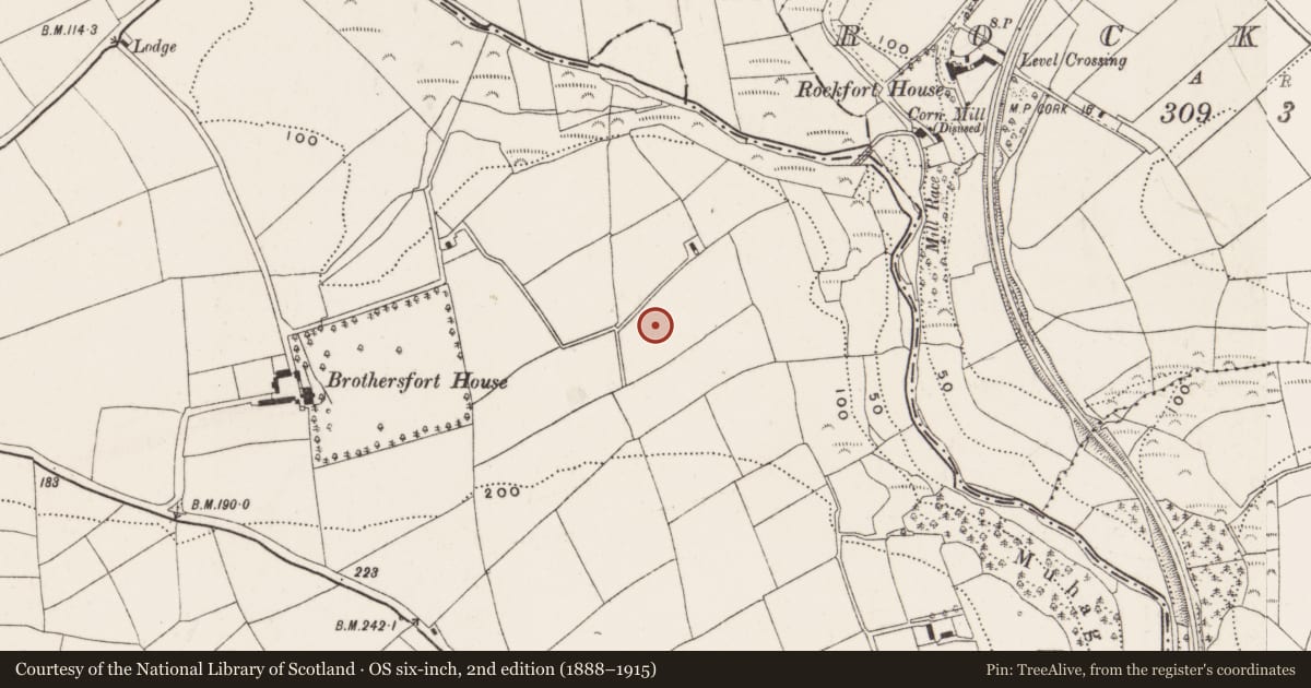 Ordnance Survey six-inch map, 2nd edition (1888–1915) covering the location of Souterrain, Kilpatrick, County Cork, with a pin at the register's coordinates