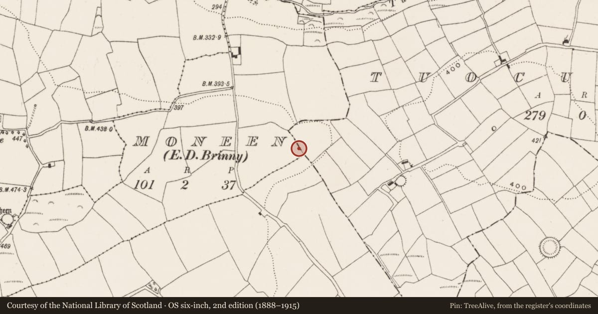 Ordnance Survey six-inch map, 2nd edition (1888–1915) covering the location of Souterrain, Moneen (Kinalmeaky By., Brinny Par.), County Cork, with a pin at the register's coordinates