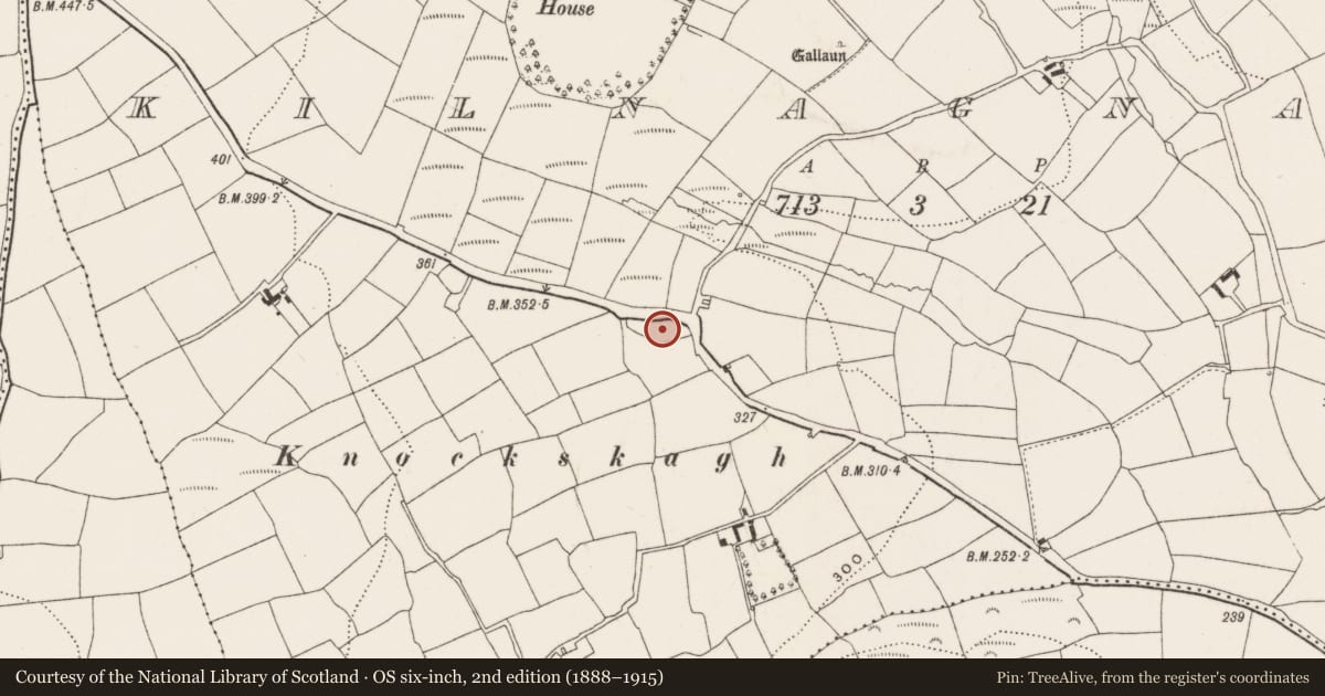 Ordnance Survey six-inch map, 2nd edition (1888–1915) covering the location of Burial ground, Kilnagnady, County Cork, with a pin at the register's coordinates