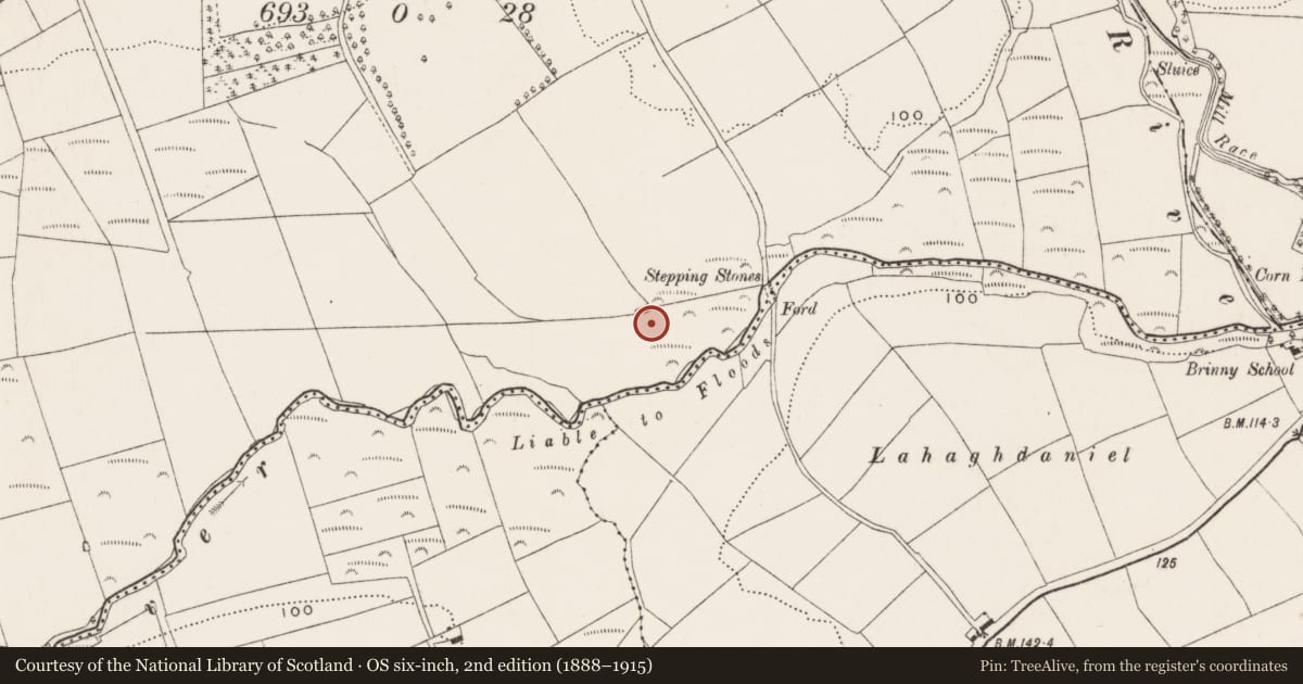 Ordnance Survey six-inch map, 2nd edition (1888–1915) covering the location of Moated site, Kilmore, County Cork, with a pin at the register's coordinates