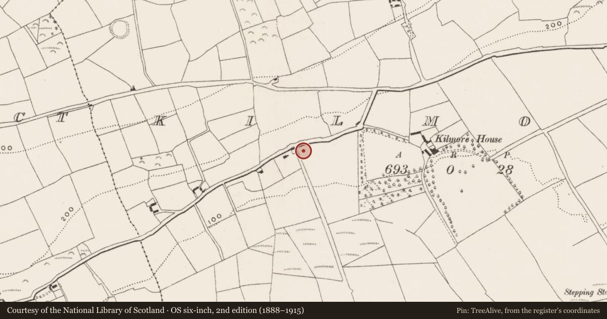 Ordnance Survey six-inch map, 2nd edition (1888–1915) covering the location of Fulacht fia, Kilmore, County Cork, with a pin at the register's coordinates
