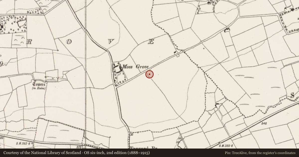 Ordnance Survey six-inch map, 2nd edition (1888–1915) covering the location of Souterrain, Mossgrove, County Cork, with a pin at the register's coordinates